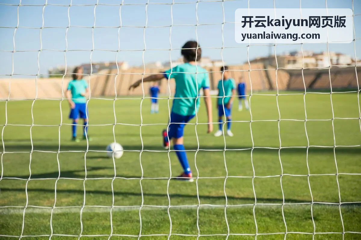 开云kaiyun网页版浏览器兼容与安装说明封面图
